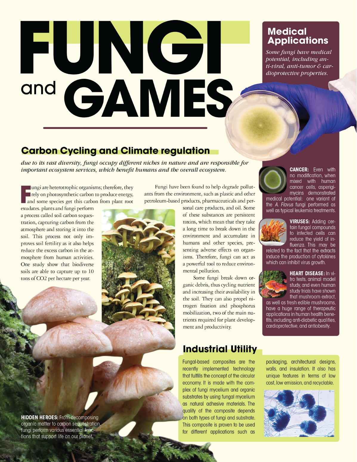 Fungi And Games: magazine spread